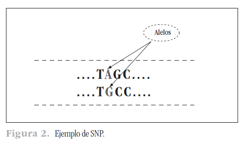 Imagen6.png